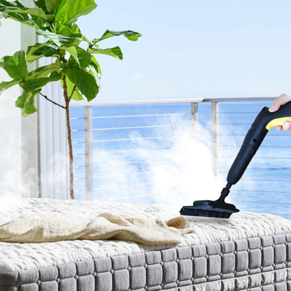 Powerful Bed Bug Steam Cleaner for Home Use