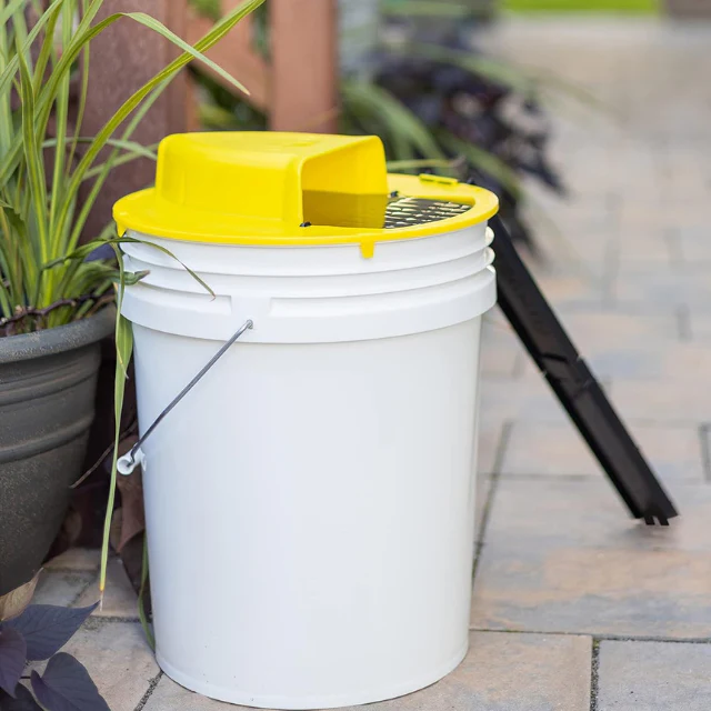 Safe Live Mouse Trap Reusable Rodent Catcher Solution