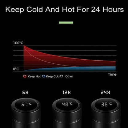 Insulated Digital Temperature Water Bottle