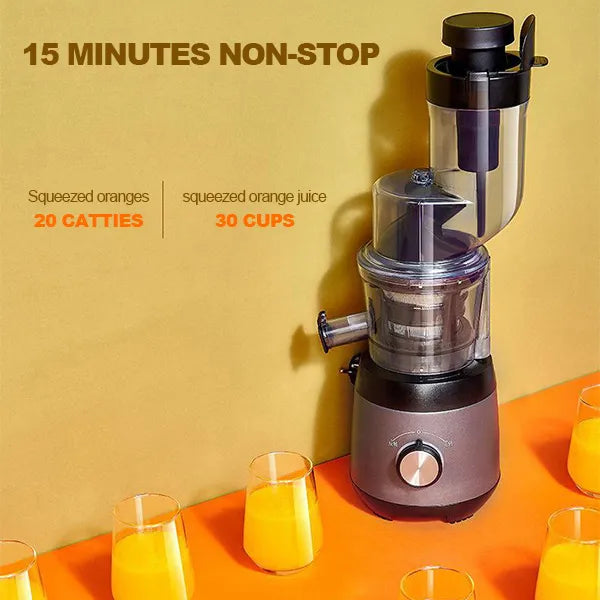 Easy Fruit and Veggie Juice Extractor