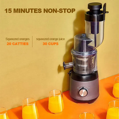 Easy Fruit and Veggie Juice Extractor