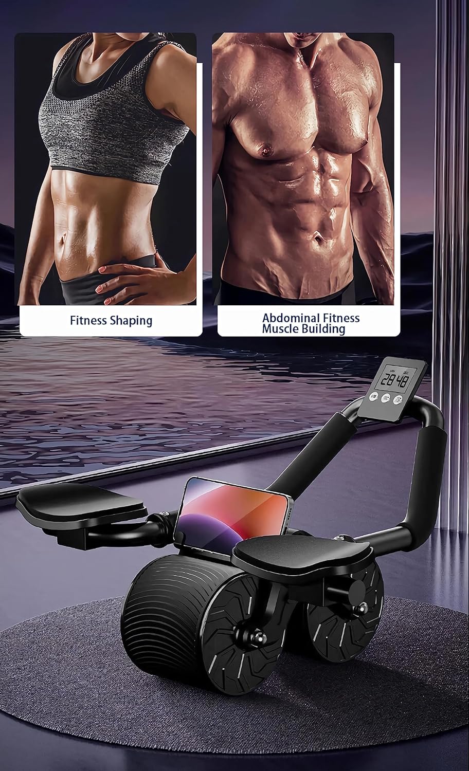 Home Gym Exercise Wheel