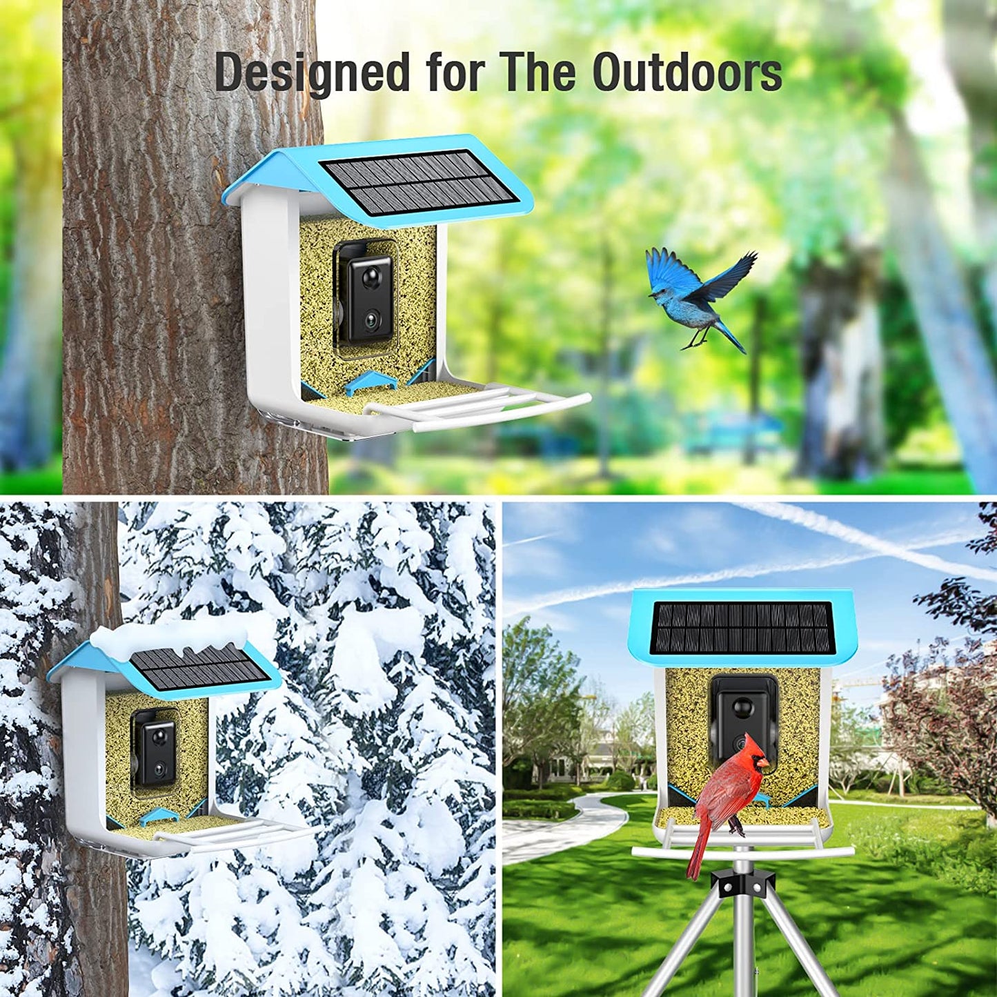 Wireless Smart Birdwatching WIFI Feeder Camera