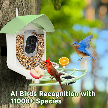 Wi-Fi Bird Watching Security Camera