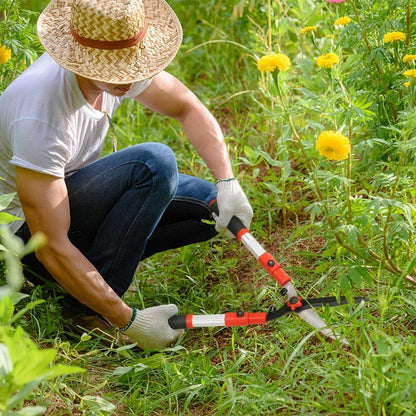 Strong Extension Tree Pruner Cutting Tool