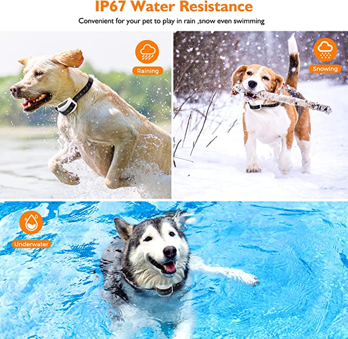 Pet Safe Wireless Fence System
