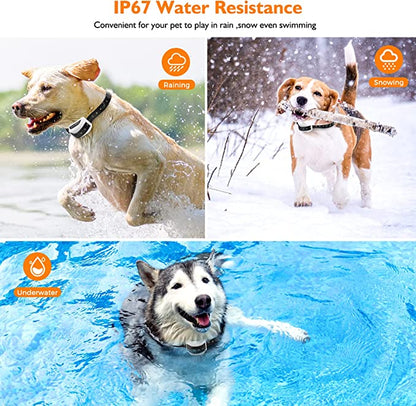 Pet Safe Wireless Fence System