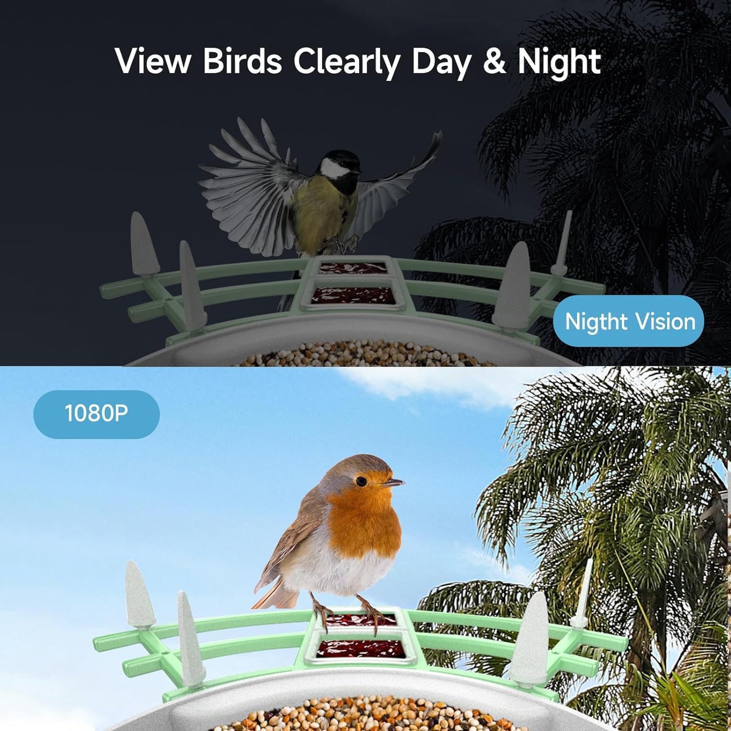 Wi-Fi Bird Watching Security Camera