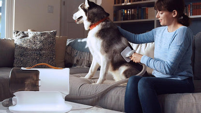 Easy Pet Hair Vacuum Cleaner