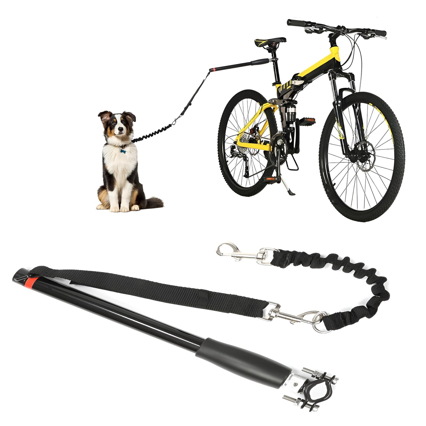 Pet Bike Safety Leash - Halri