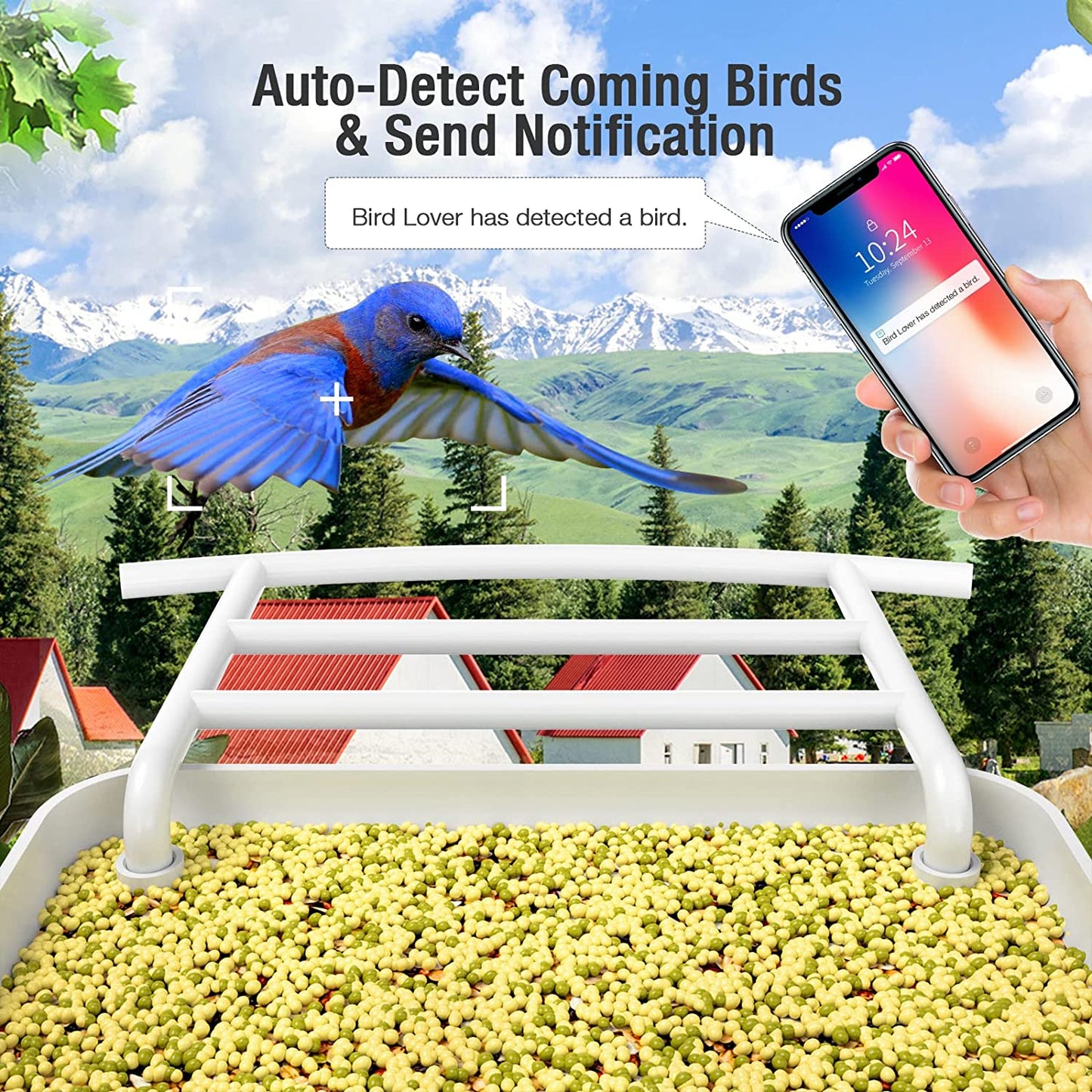 Wireless Smart Birdwatching WIFI Feeder Camera