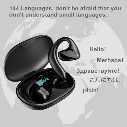 Portable Language Translation Tool