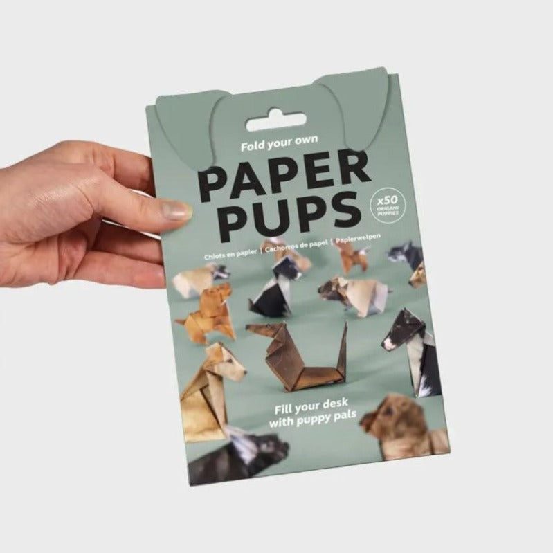 Fun Cat Paper Craft Kit