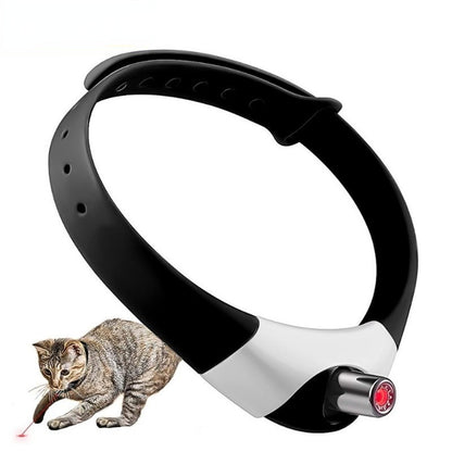 Fun Interactive Cat Toy
