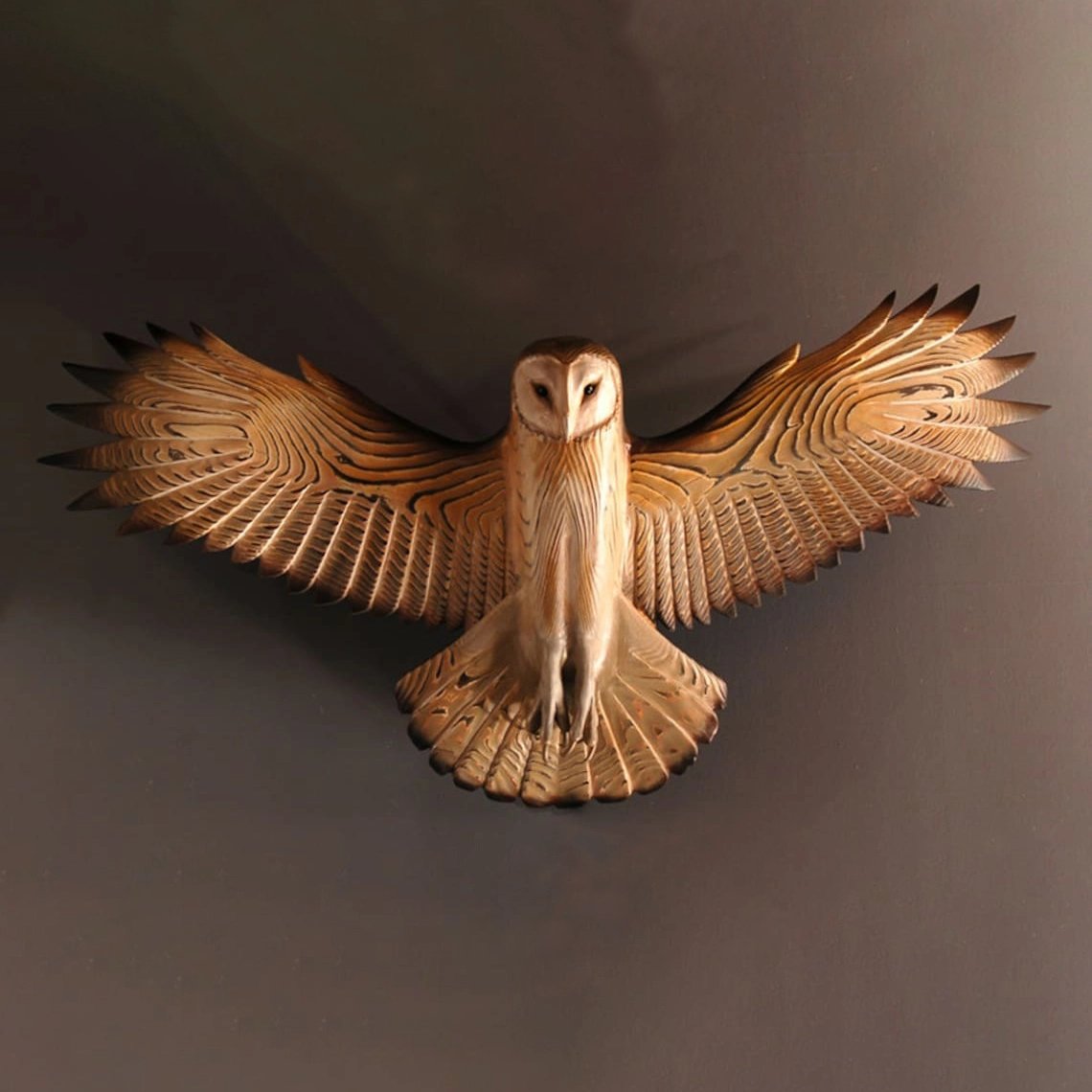 Beautiful Owl Artistic Wall Decoration - Halri
