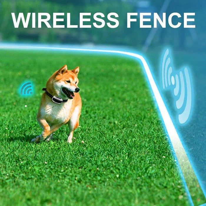 Pet Safe Wireless Fencing Collar Kit
