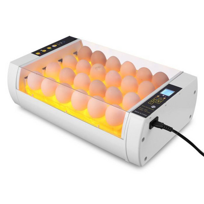Big Automatic 24 Egg Incubator for Chickens and Quail - Halri