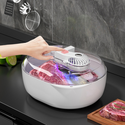 Fast 6-in-1 Food Defroster for Home Use