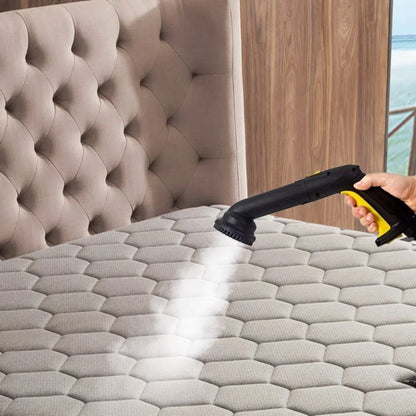 Powerful Bed Bug Steam Cleaner for Home Use