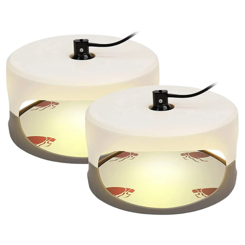 Effective Home Bed Bug Catcher - Halri