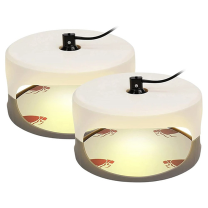 Effective Home Bed Bug Catcher - Halri