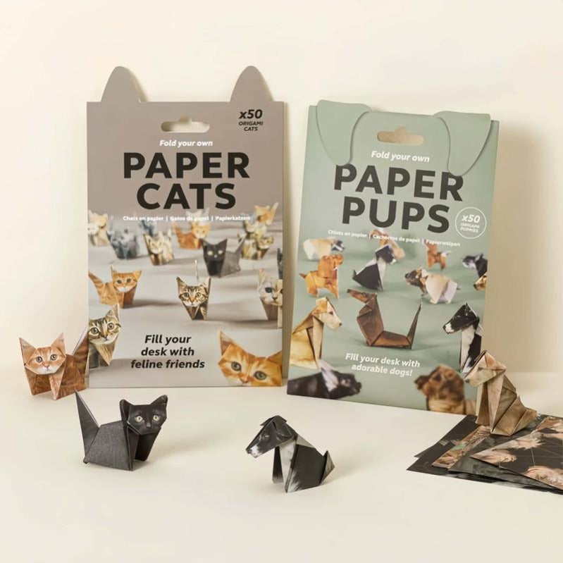 Fun Cat Paper Craft Kit