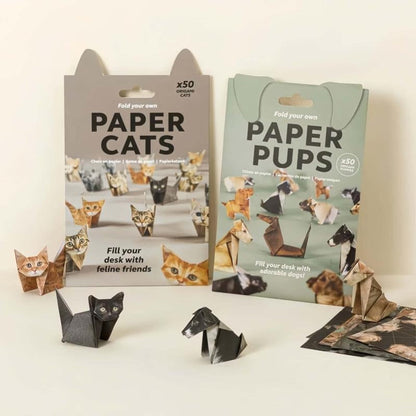 Fun Cat Paper Craft Kit