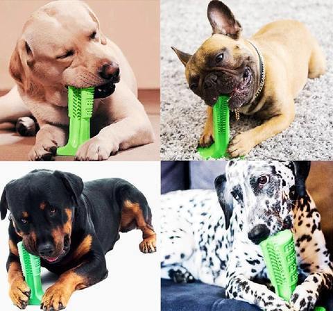 Best Dog Toothbrush for Healthy Teeth - Halri