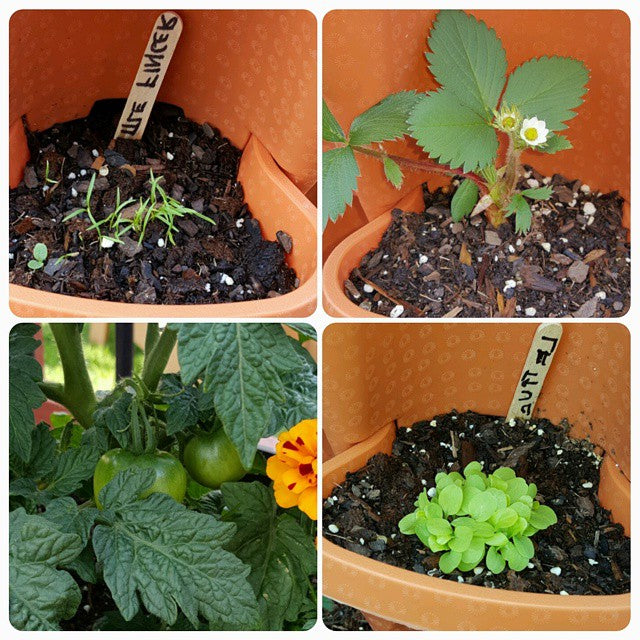 Space Saving Tiered Garden Pots
