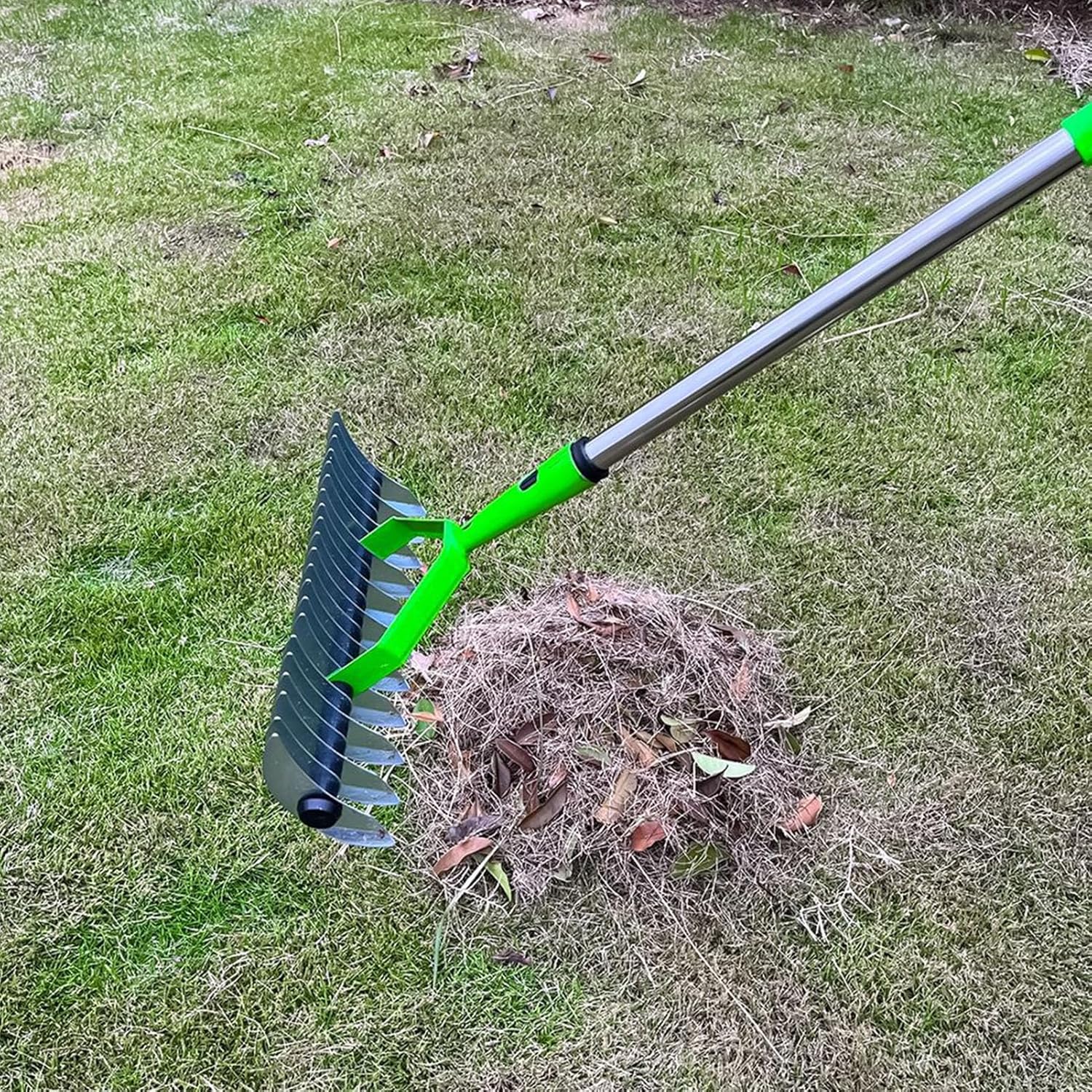 Effective Lawn Rake for Dead Grass Removal - Halri