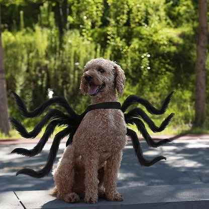 Comical Furry Pet Spider Costume - Halri