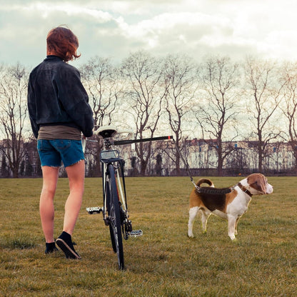 Pet Bike Safety Leash