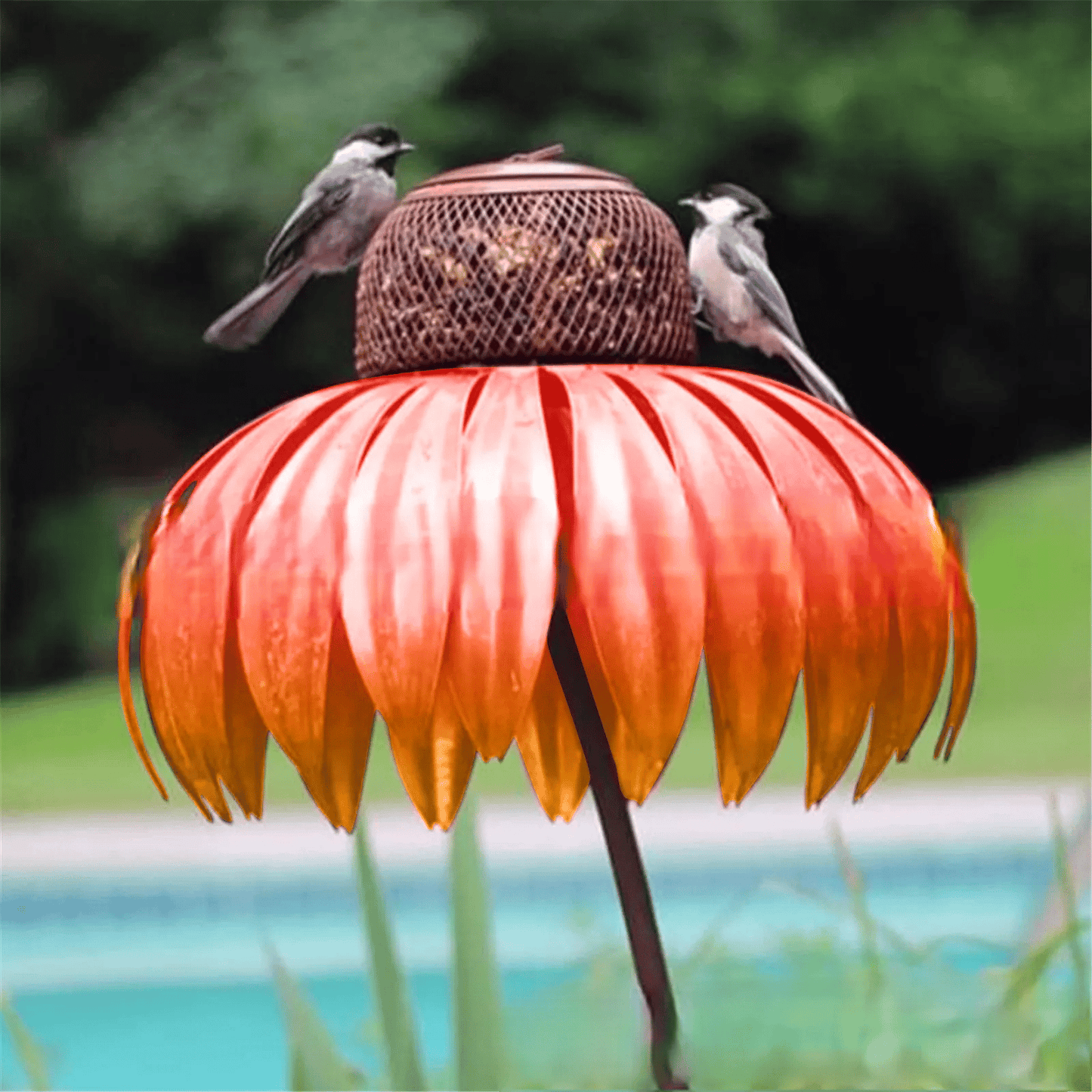 Colorful Bird House with Free Matching Kegel