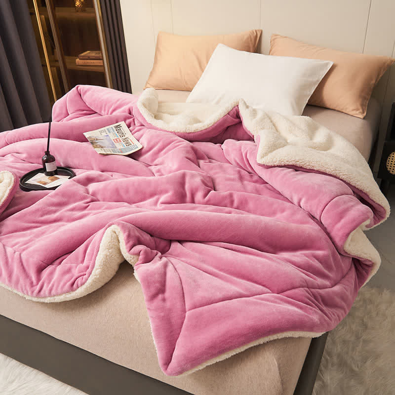 Plush Reversible Shaggy Area Rug