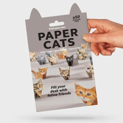 Fun Cat Paper Craft Kit - Halri