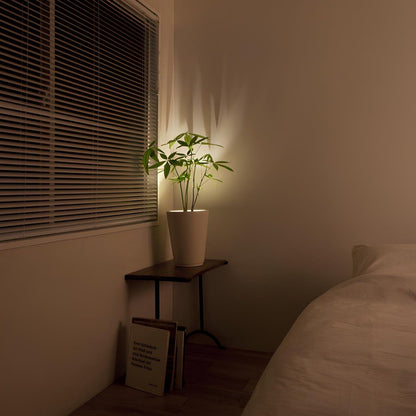 Sleek LED Wall Light Adjustable Spotlight