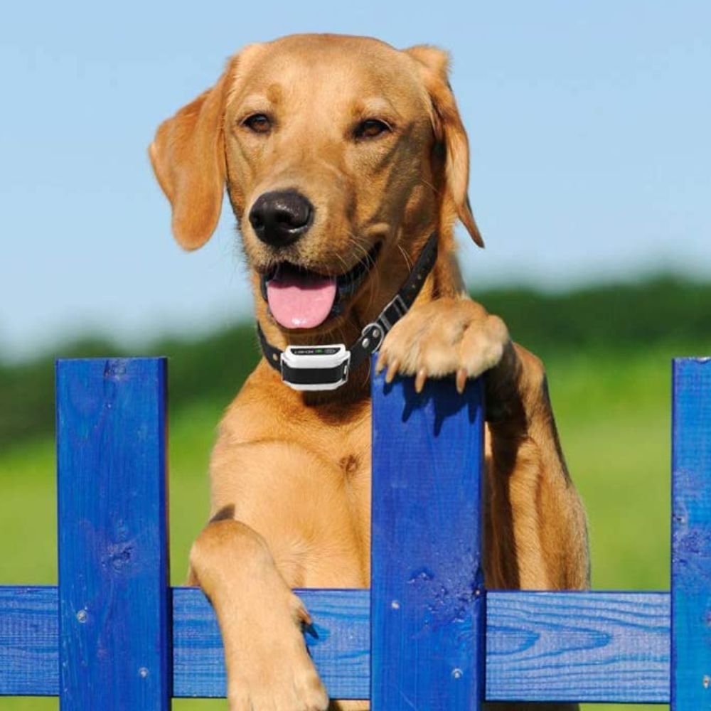 Easy Hidden Pet Electric Fence System Kit
