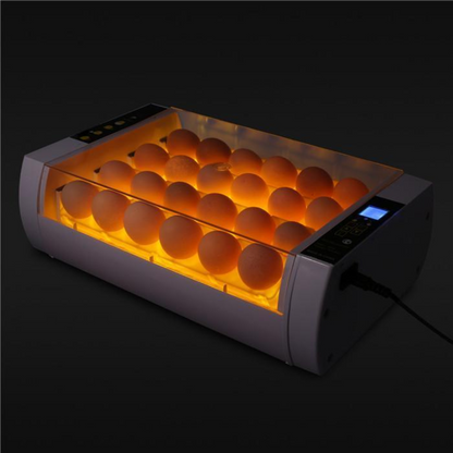 Big Automatic 24 Egg Incubator for Chickens and Quail