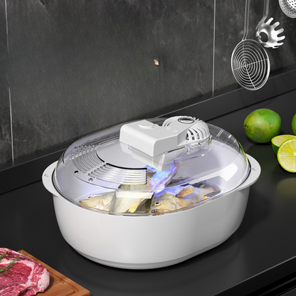 Fast 6-in-1 Food Defroster for Home Use