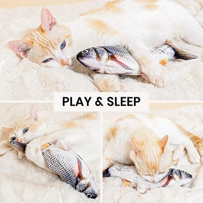 Fun Feather Teaser Toy