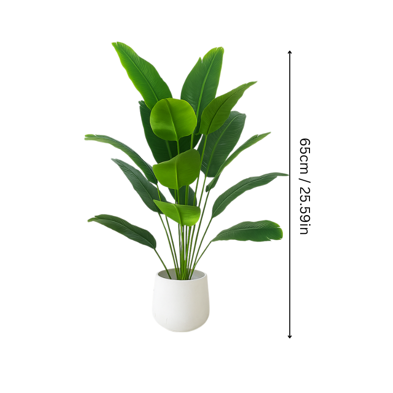 Eco Friendly Halri Plant - Halri