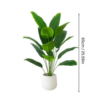 Eco Friendly Halri Plant - Halri