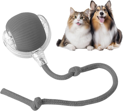 Fun Interactive Dog Ball Toys