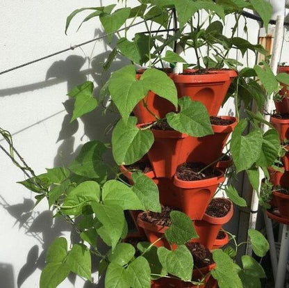 Space Saving Tiered Garden Pots
