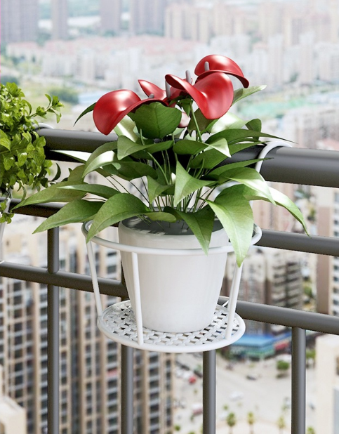 Elegant Plant Wall Mount Planter