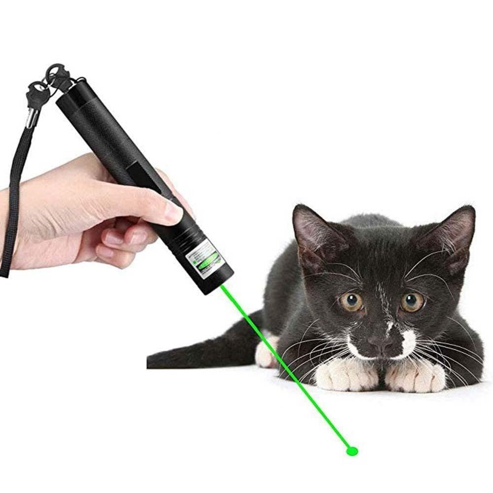 Powerful Red Laser Light Pen
