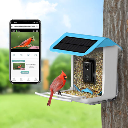 Wireless Smart Birdwatching WIFI Feeder Camera - Halri