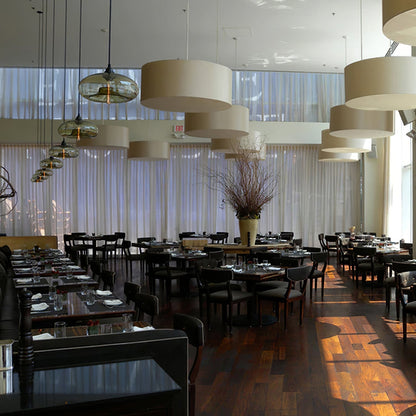 Elegant Glass Hanging Light