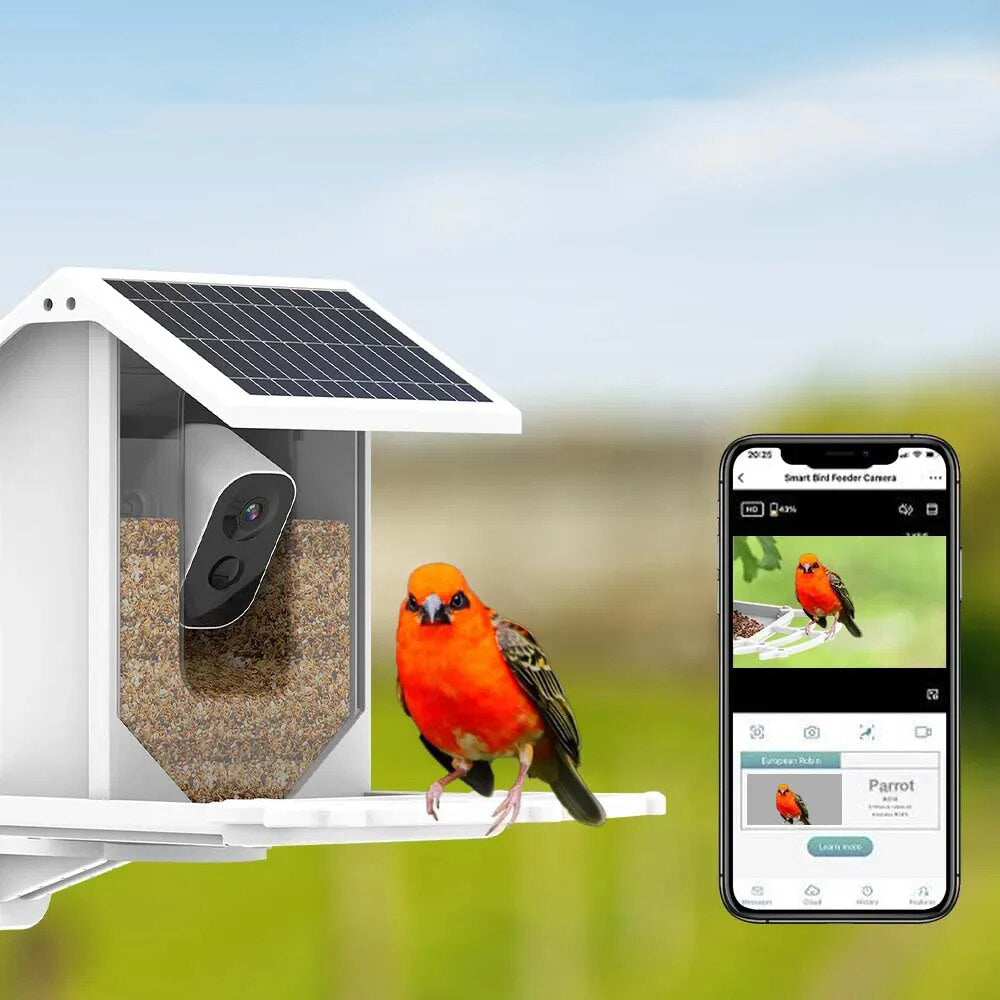 Intelligent Bird Feeder with Camera and Solar Power - Halri