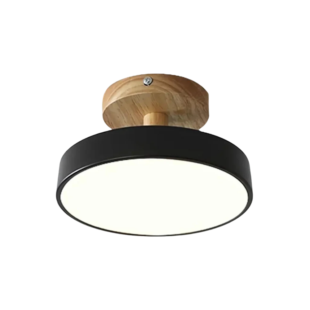 Slim Contemporary LED Ceiling Light
